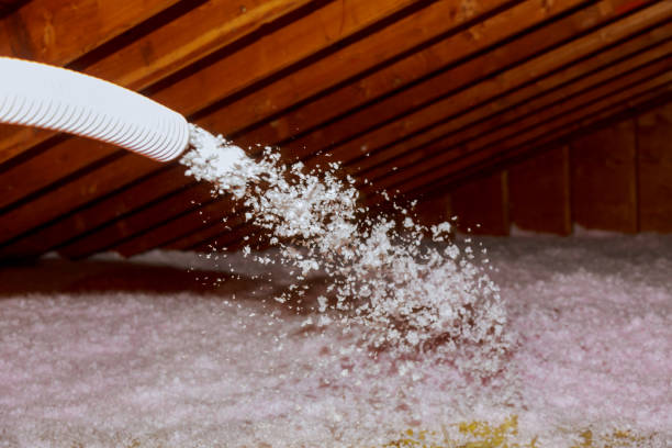 Best Insulation Installation Services in Cumberland, WI